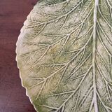 Cabbage leaf dish with slushie