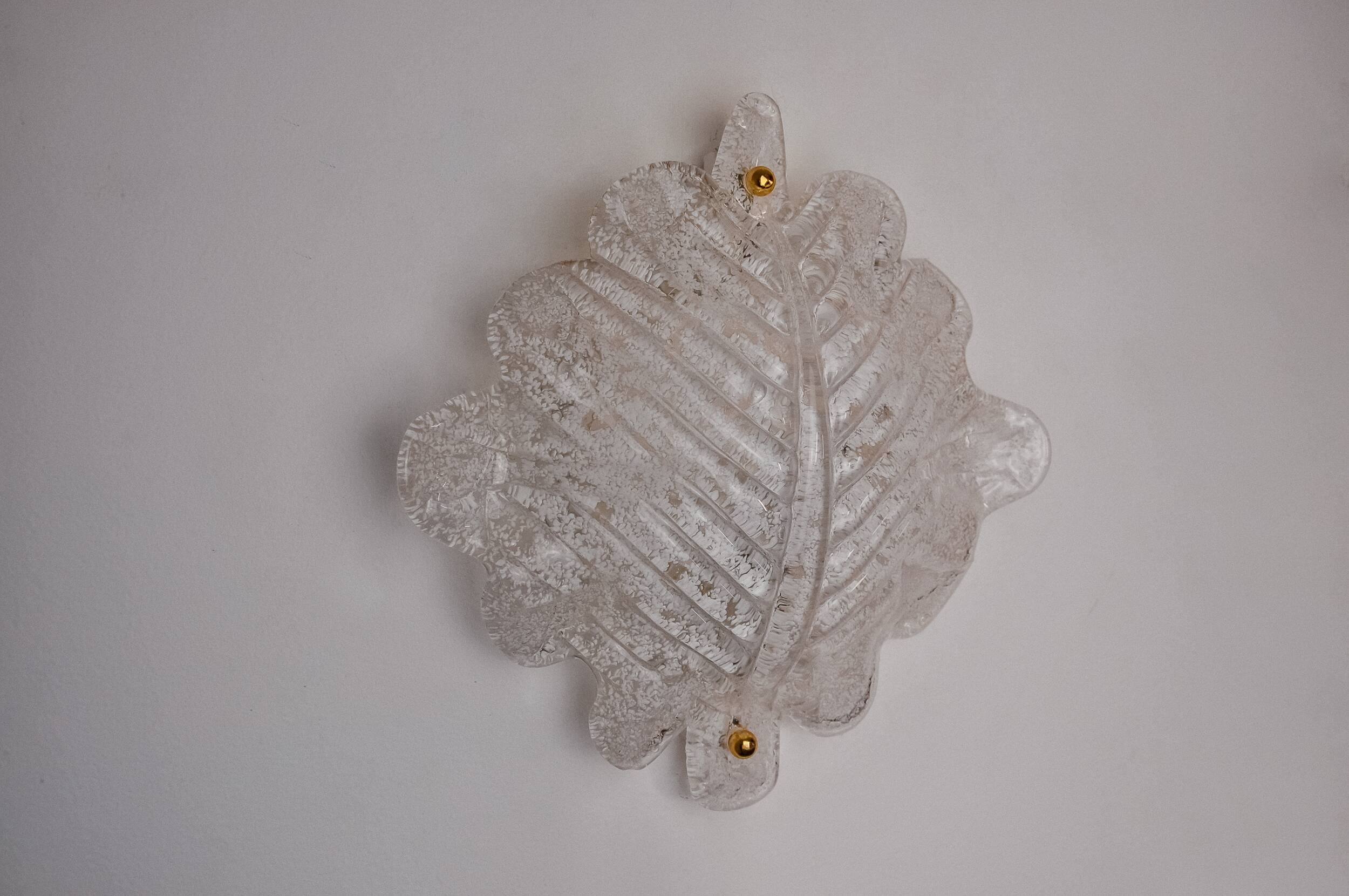 XL frosted leaf wall light, Murano glass, Italy, 1970