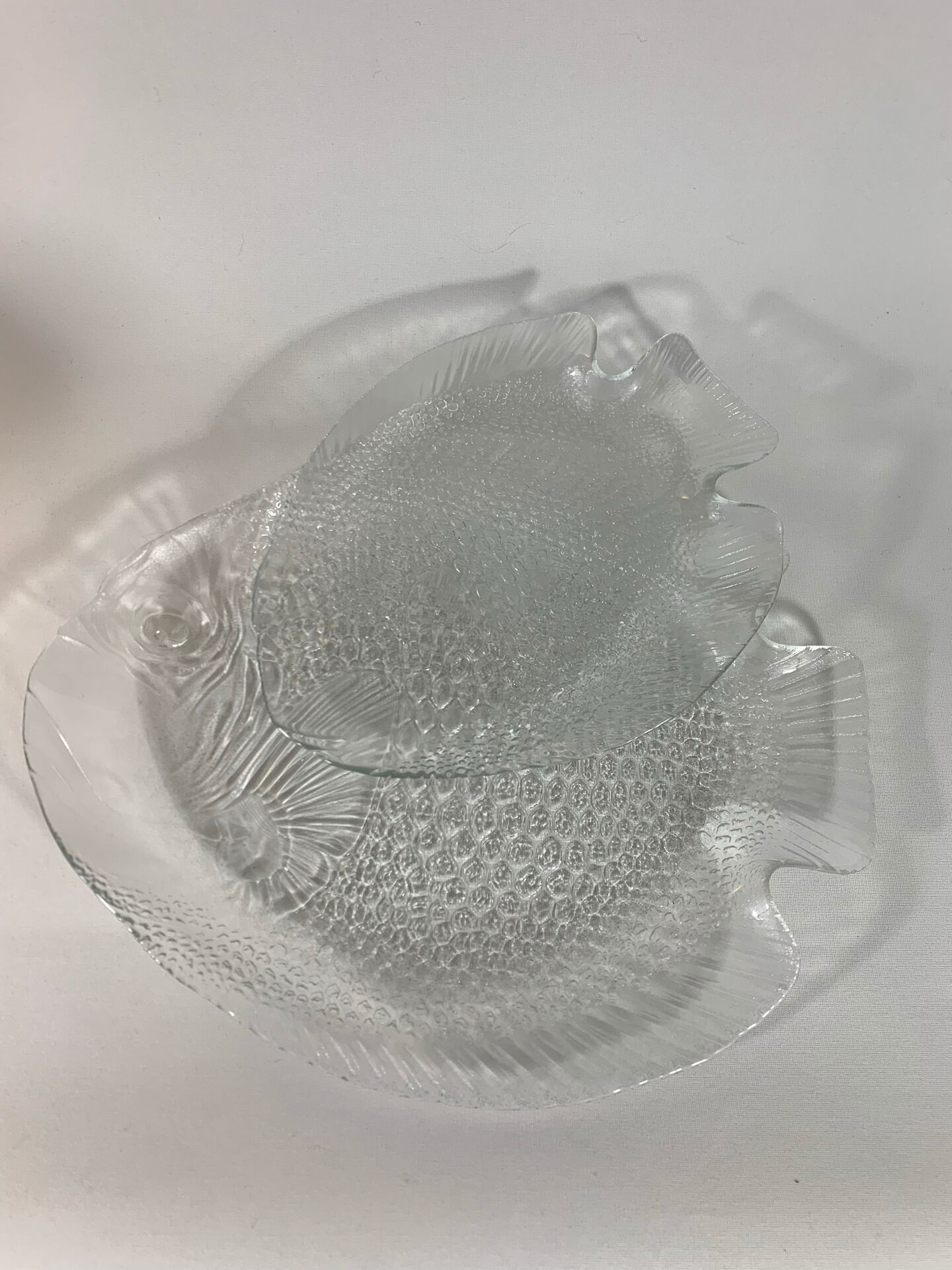 Arcoroc dishes for Codec