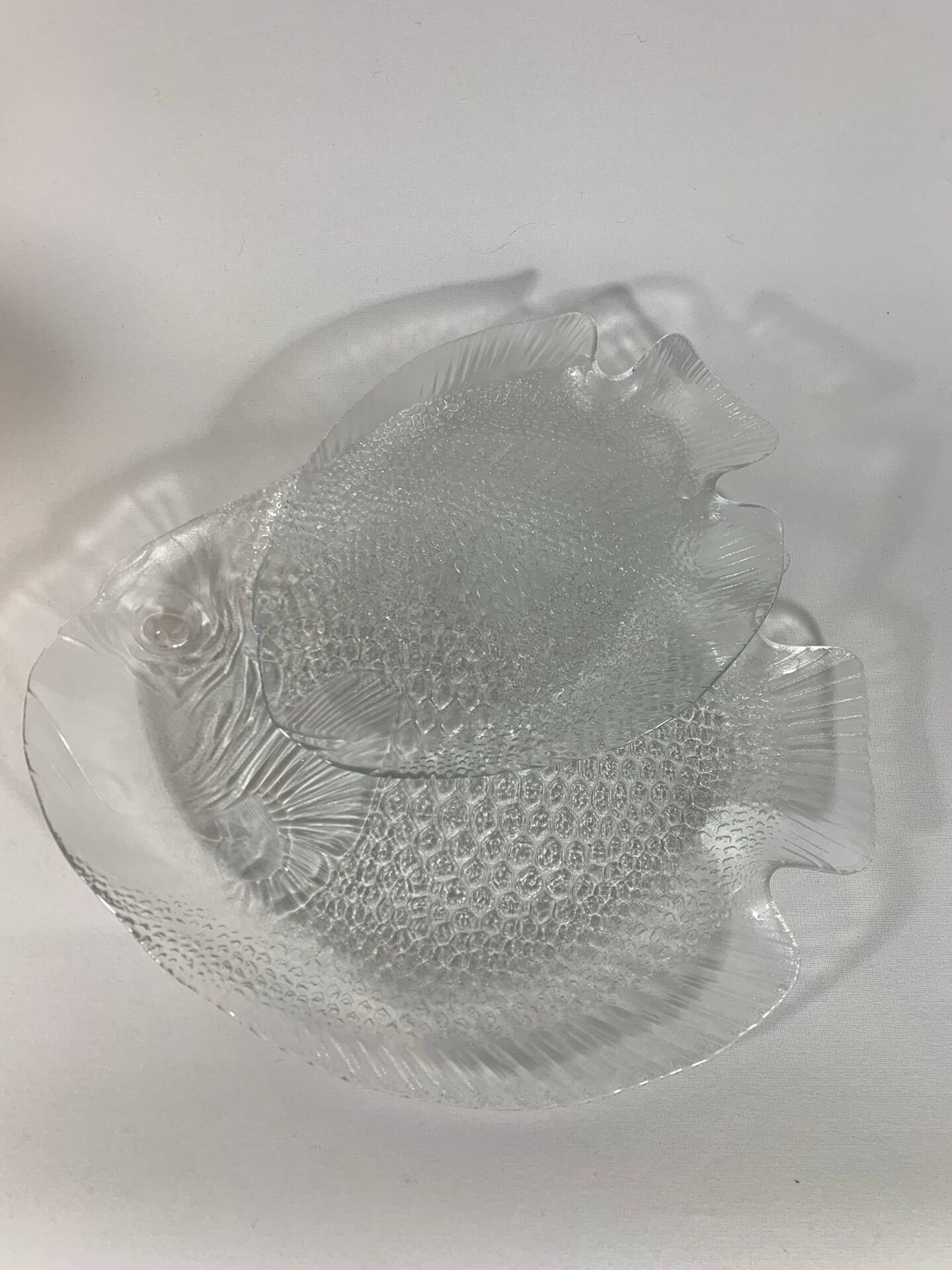 Arcoroc dishes for Codec