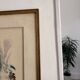 Lithograph Elegant Woman Greyhound Latin Union Edition Lucien Fontanarosa