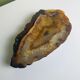 Vide poche en quartz