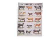 Teaching board