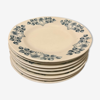 8 assiettes plates terre de fer