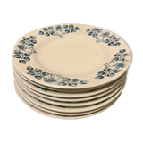 8 plates iron earth