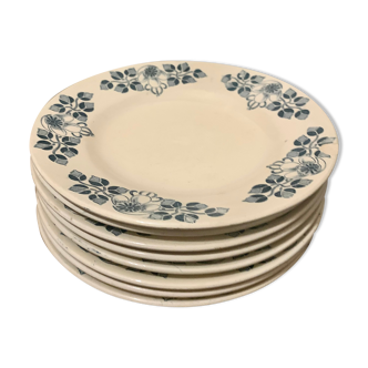 8 plates iron earth