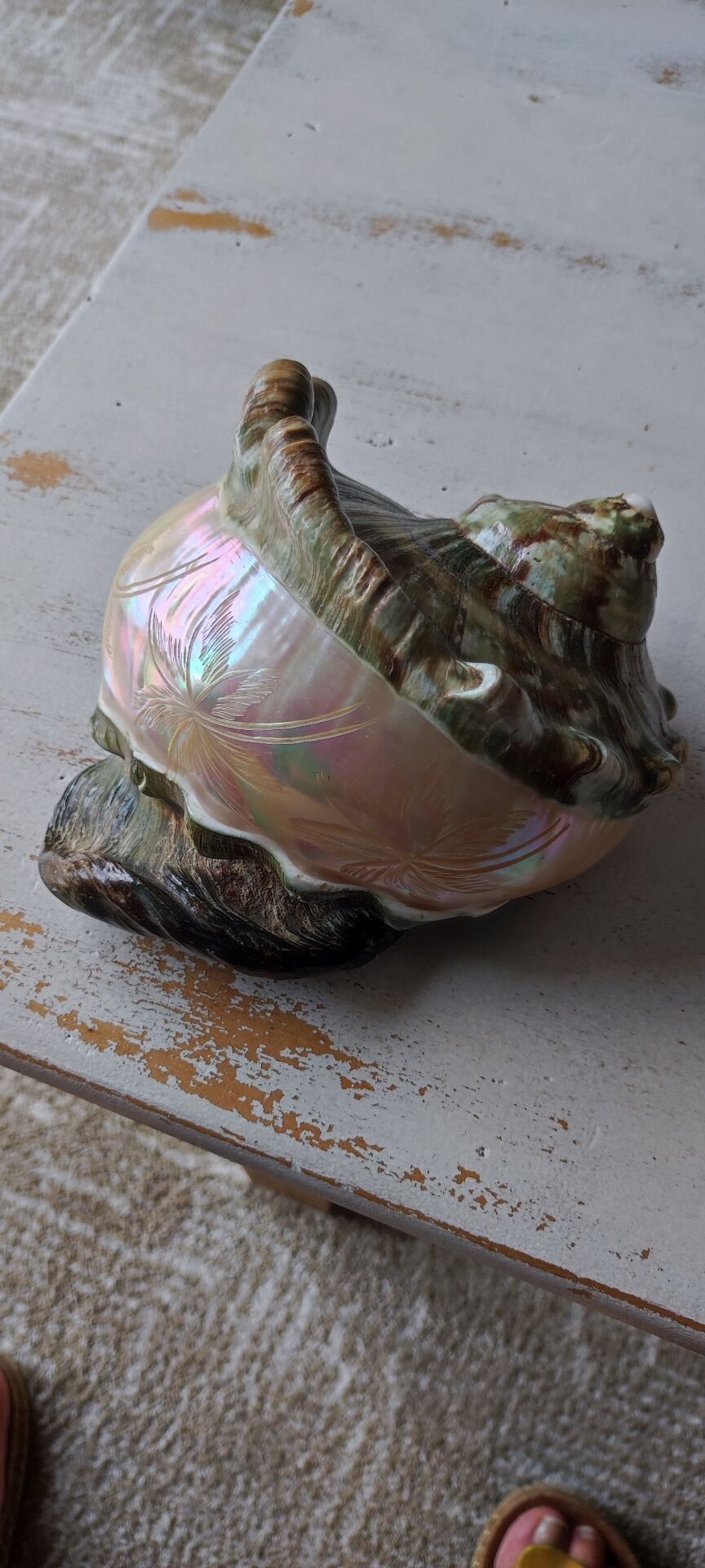 Coquillage deco