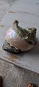 Shell decoration