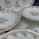 Haviland and SFP dessert service - birds of paradise