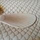 Fish dish Salins-les-Bains