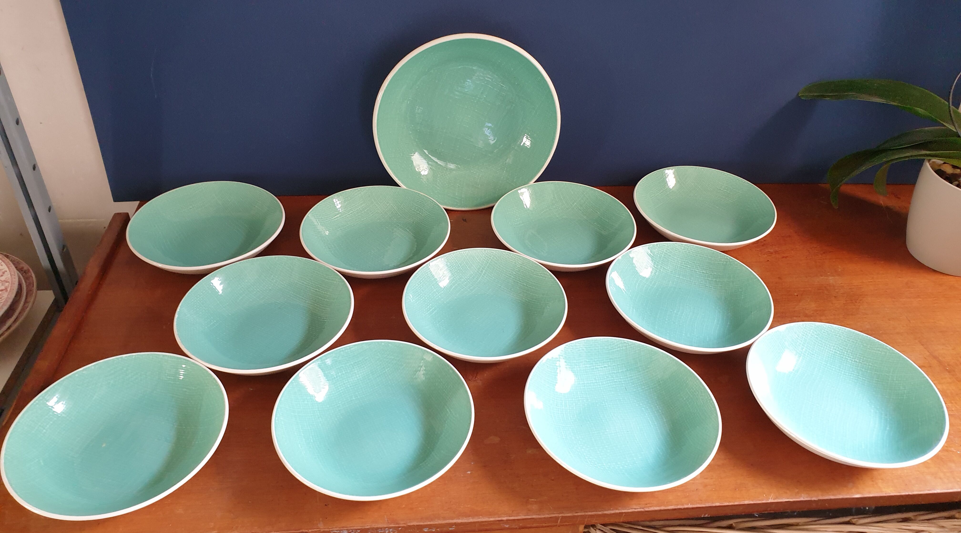 Ensemble de 11 assiettes creuses et plat Les Salins