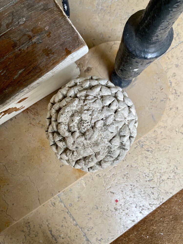 Ornamental artichoke in bleached concrete