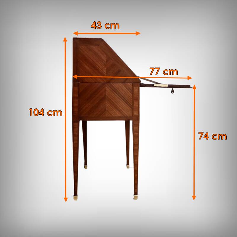 Rosewood and Mahogany Sloping Desk, Louis XVI Style – Mid-19th Century