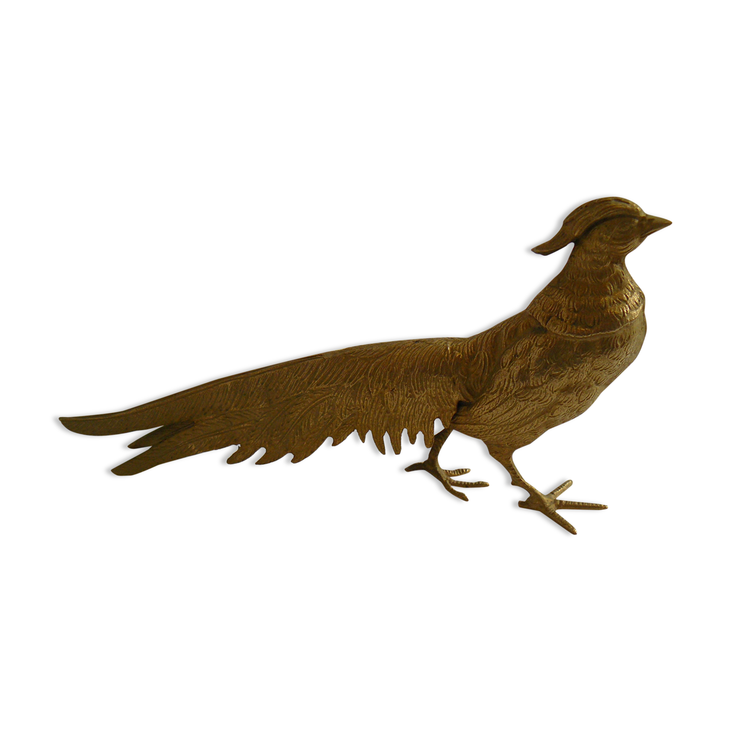 Pheasant golden brass