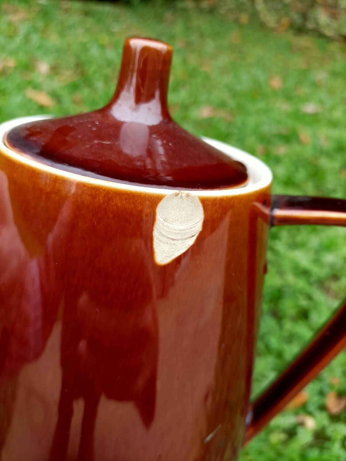 Coffee/Teapot ~ Villeroy and Boch