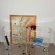 Paire de tables de chevet en plexiglas transparent