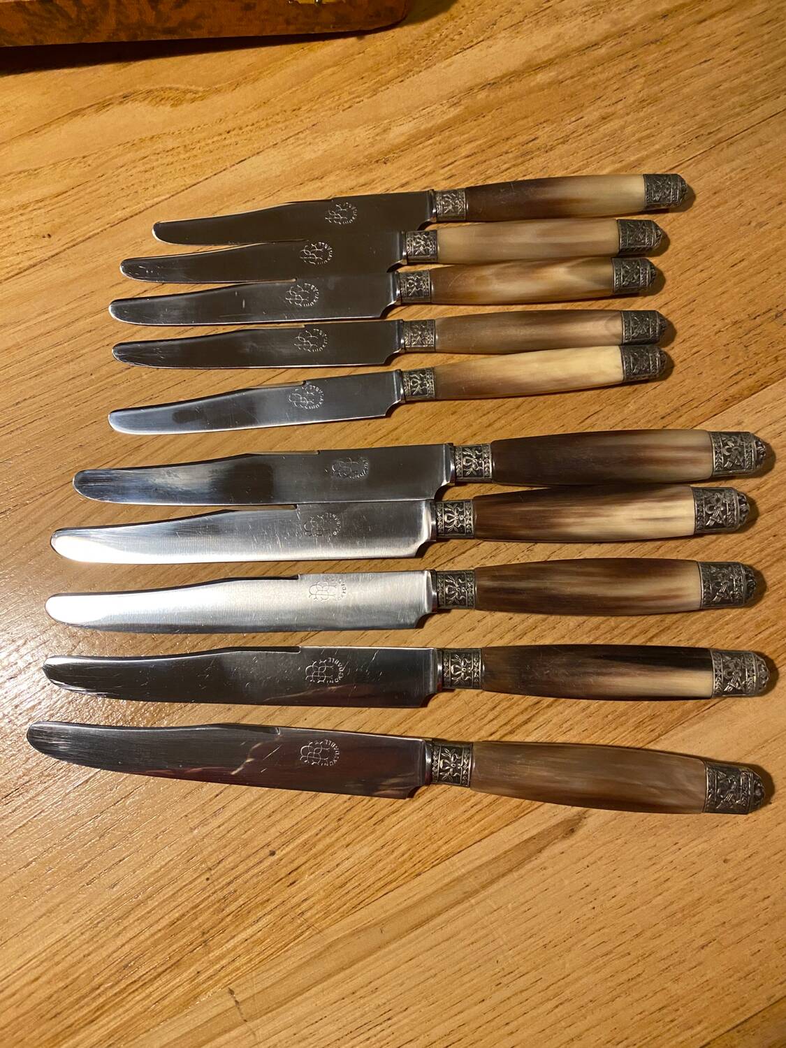 Box of 24 horn knives