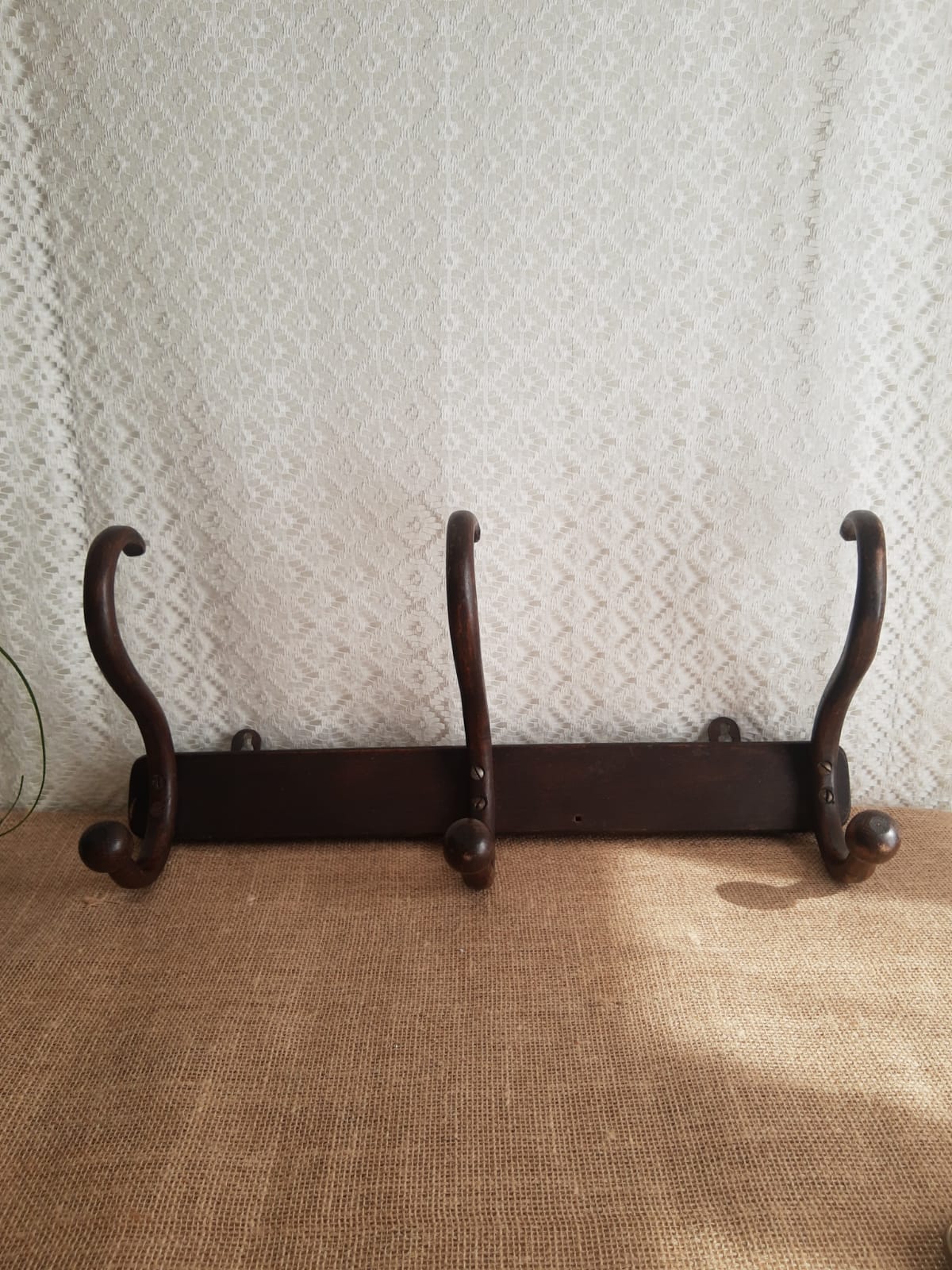 Wall coat rack in curved wood 3 pateres
