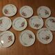 10 dessert plates painted decorated with flowers, insects (all different)