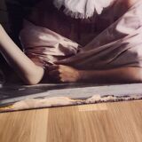 Vermeer Mac art photo painting