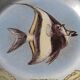 Ceramic plate