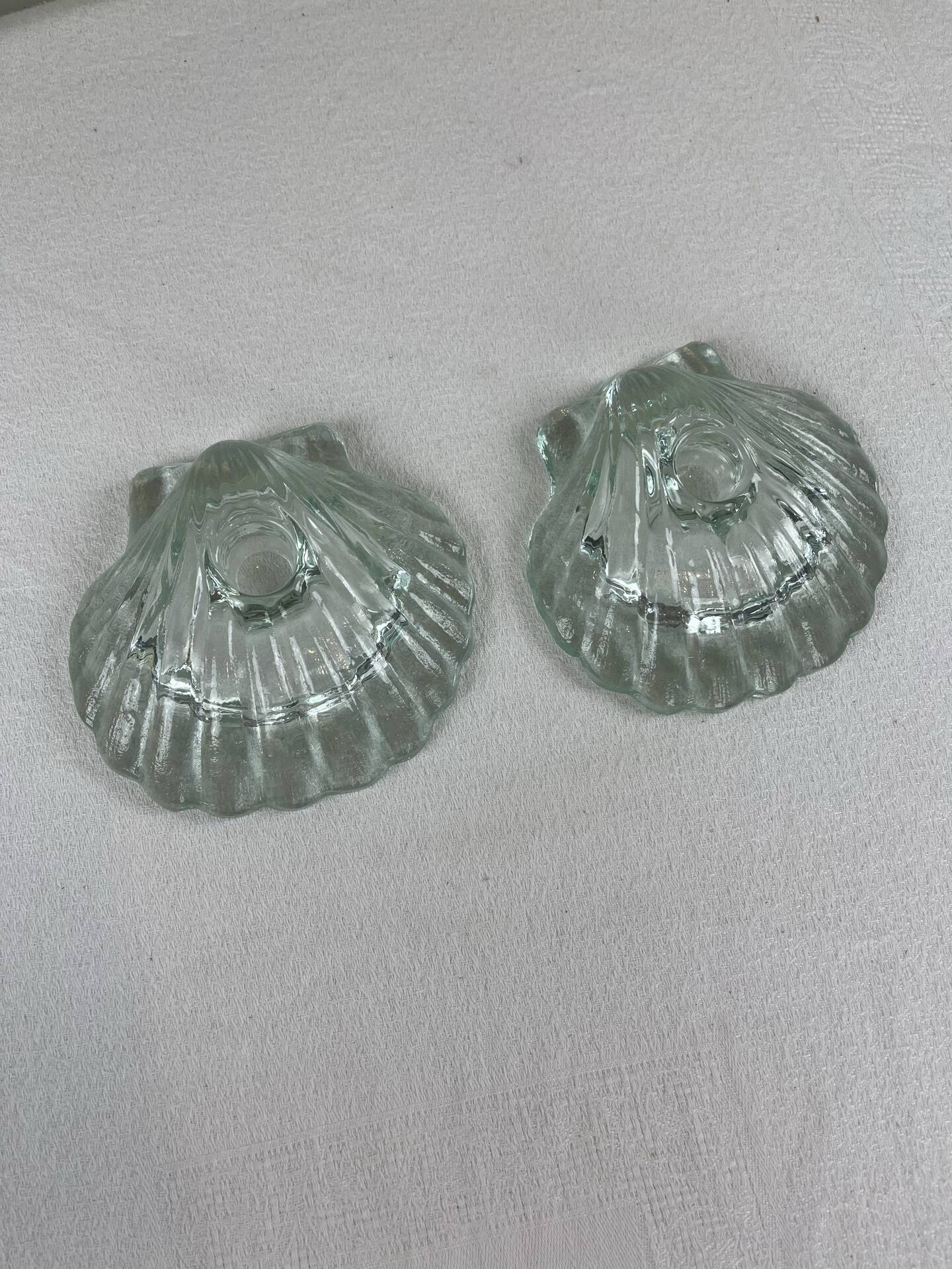 Pair of scallop shell candlesticks