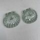 Pair of scallop shell candlesticks