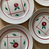 8 plates in faience