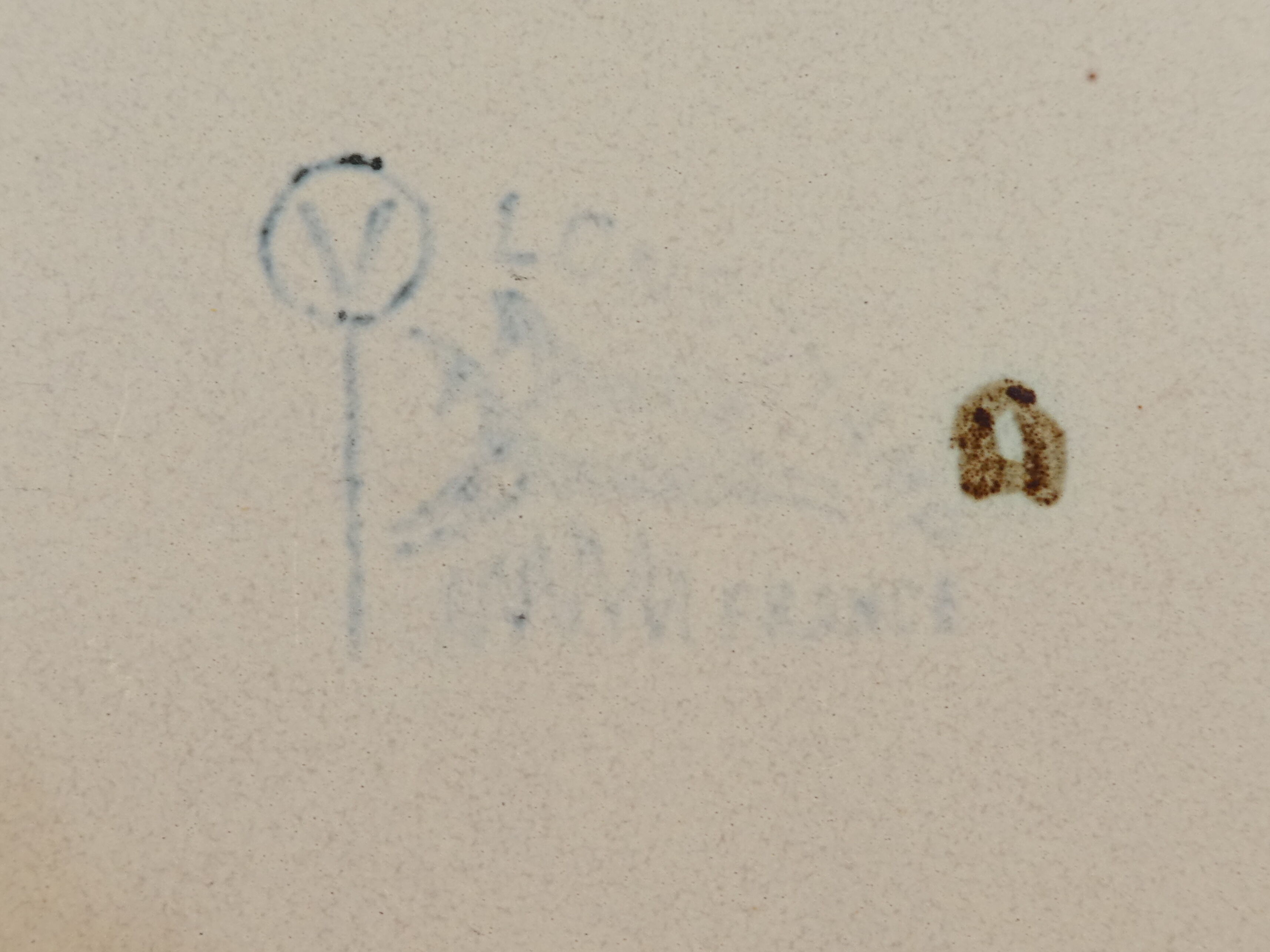 6 flat plates vintage flower decoration Lonchamp