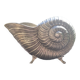Nautilus tin champagne bucket