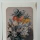 Lithographie botanique ancienne Vilmorin – Élisa Champin, XIXe siècle