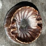 Empty Ashtray Pocket in Ceramic Marble Effect D 14 cm