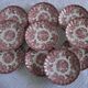 Lot 10 flat bread plates myott model tonquin