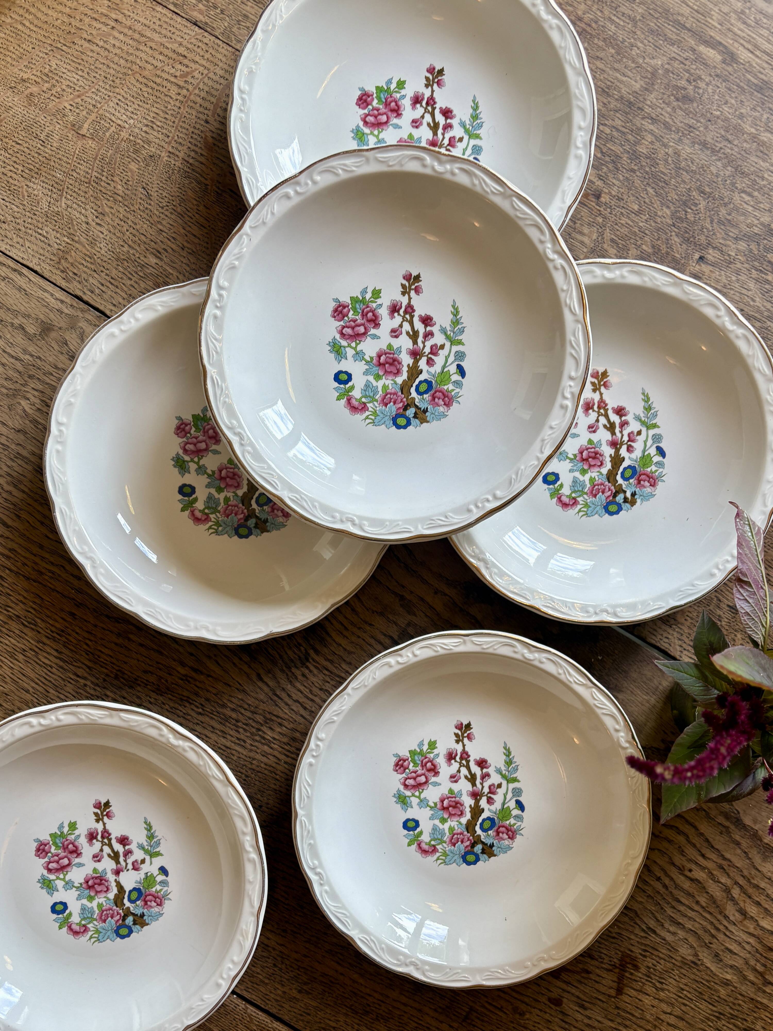 Set of 6 vintage soup plates, "Indian Tree" pattern by Digoin