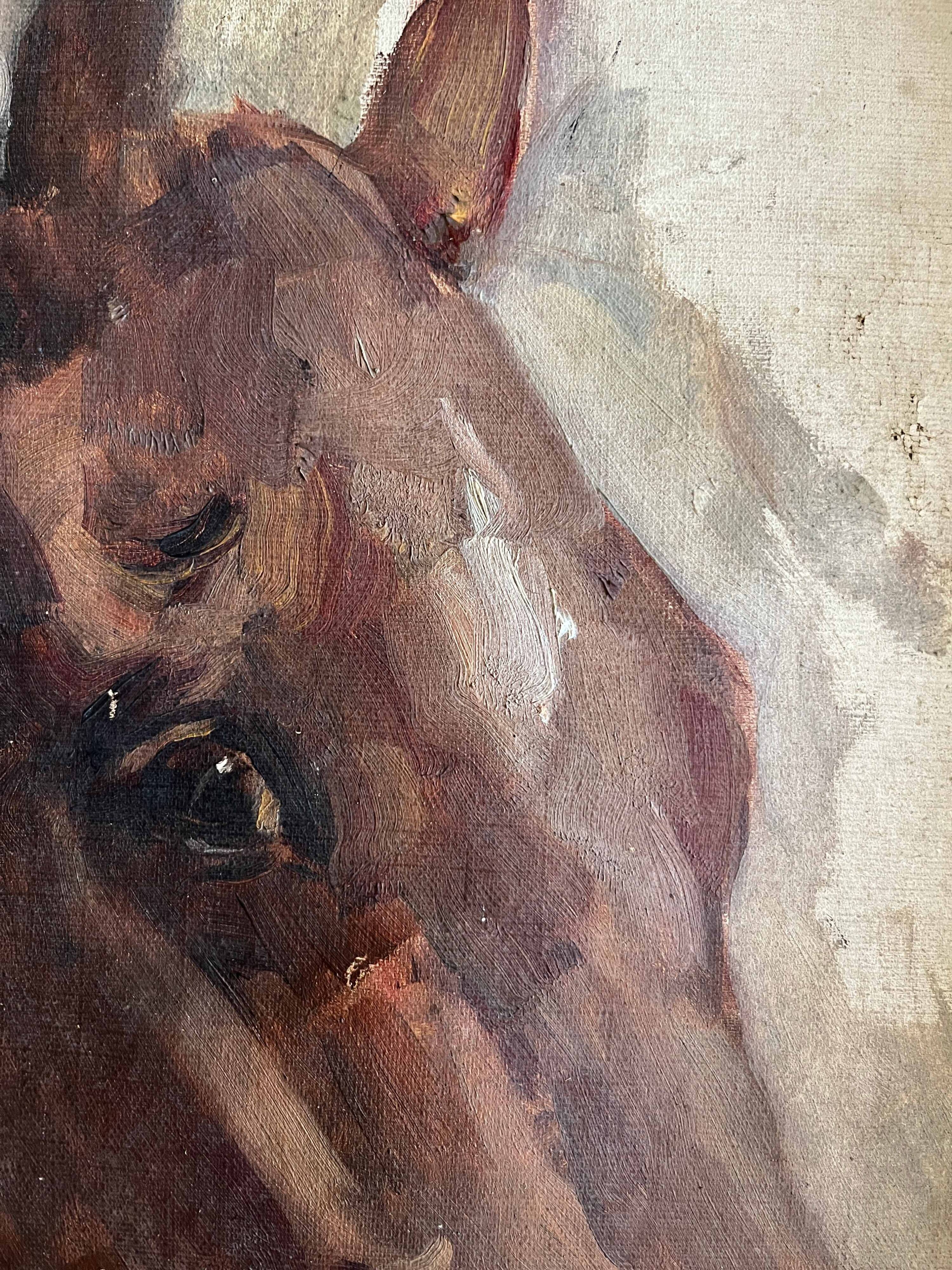 Tableau HST/P "Etude de tête de cheval" éc. début XX°