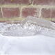 Butter dish from Reims in transparent glass