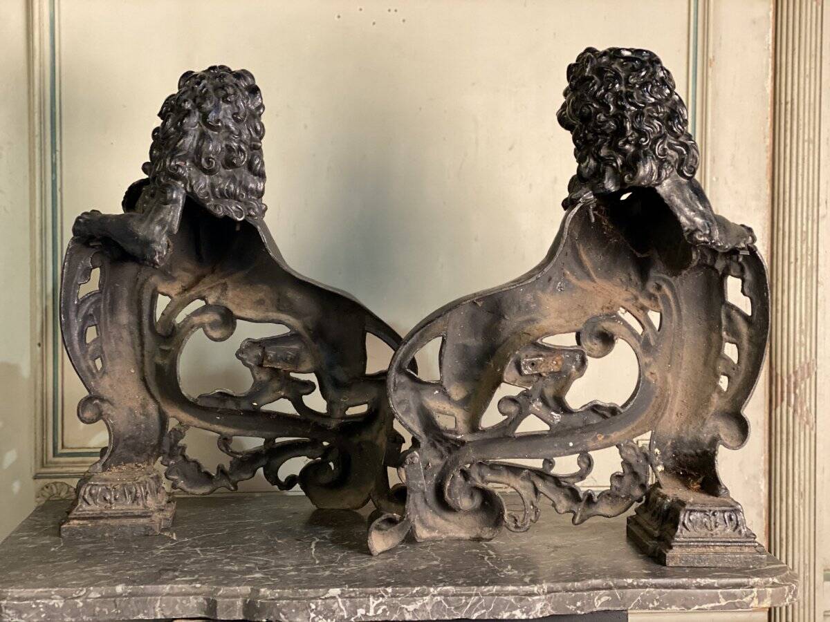Pair of cast iron fire dogs