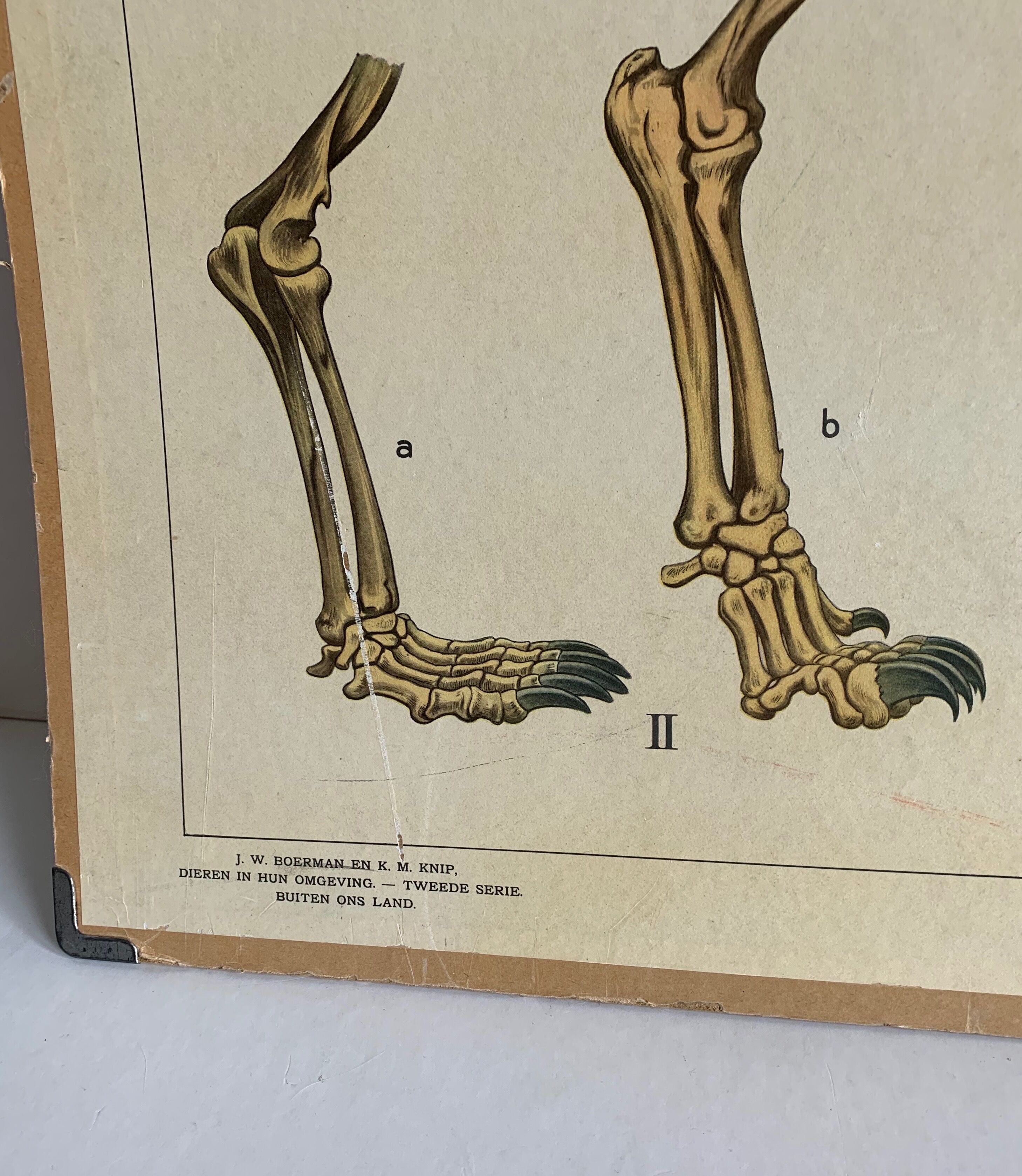 Affiche éducative années 1950