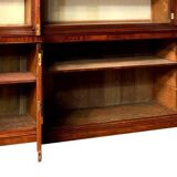 Mahogany bookcase with projection