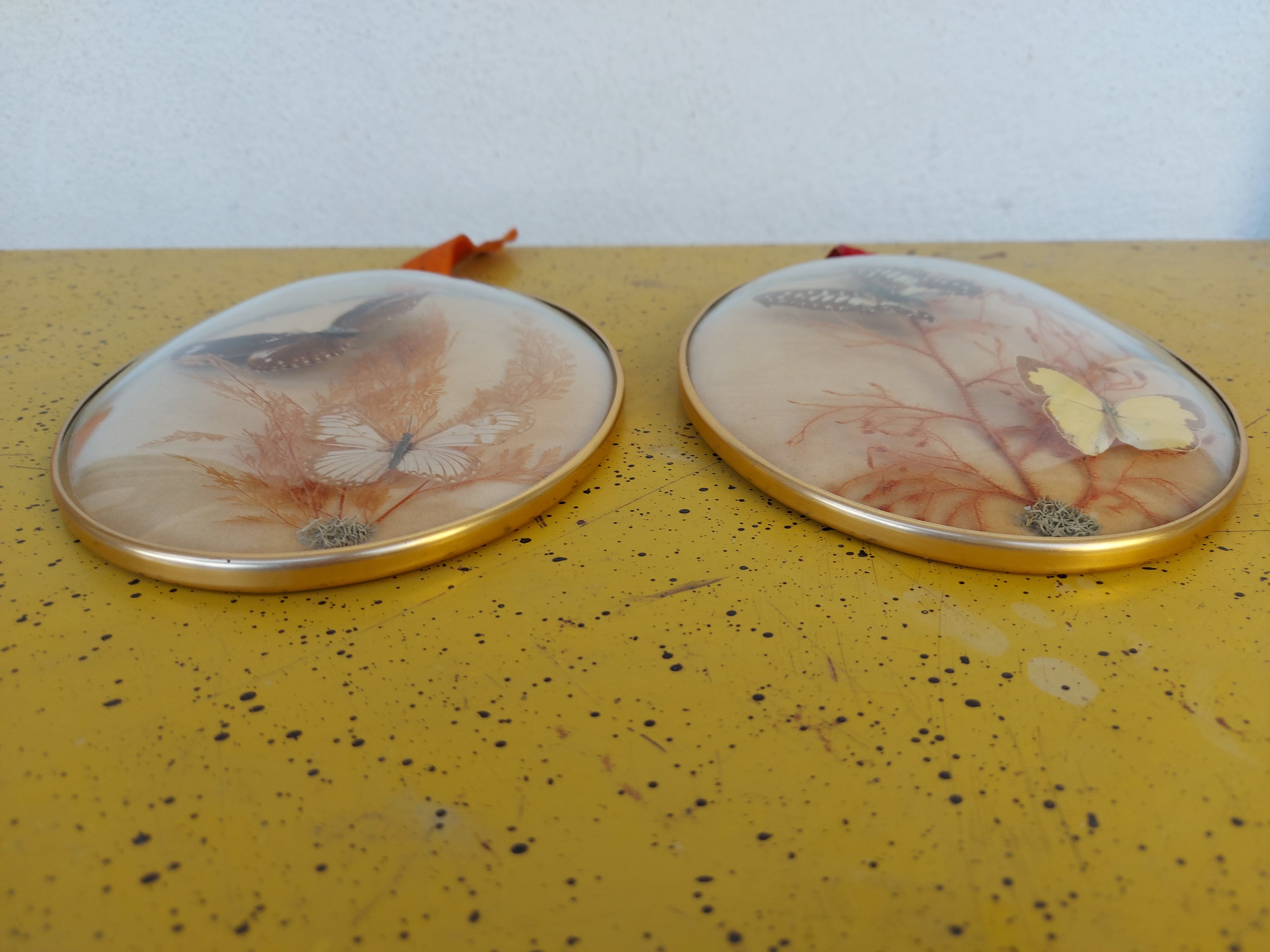 Pair of vintage butterfly frames