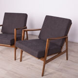 Model 300-139 Armchairs from Swarzędzka, 1960s, Set of 2