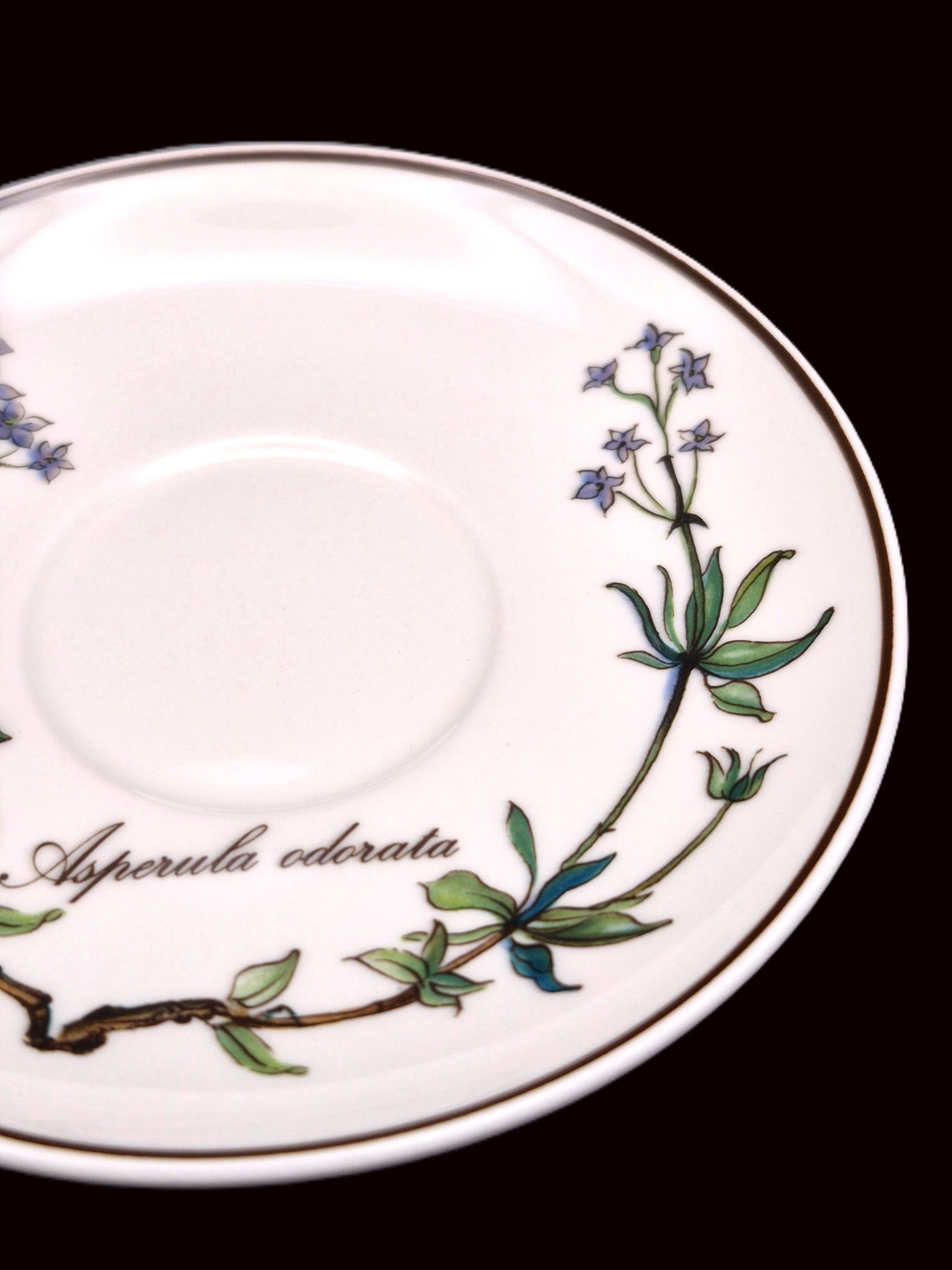 Set of 6 coffee cups and saucers Villeroy & Boch, vintage, Botanica