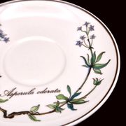 Set of 6 coffee cups and saucers Villeroy & Boch, vintage, Botanica