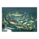 Congolese School Aquatic fauna Oil on canvas signed