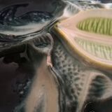 6 oyster plates Saint Clement 4589
