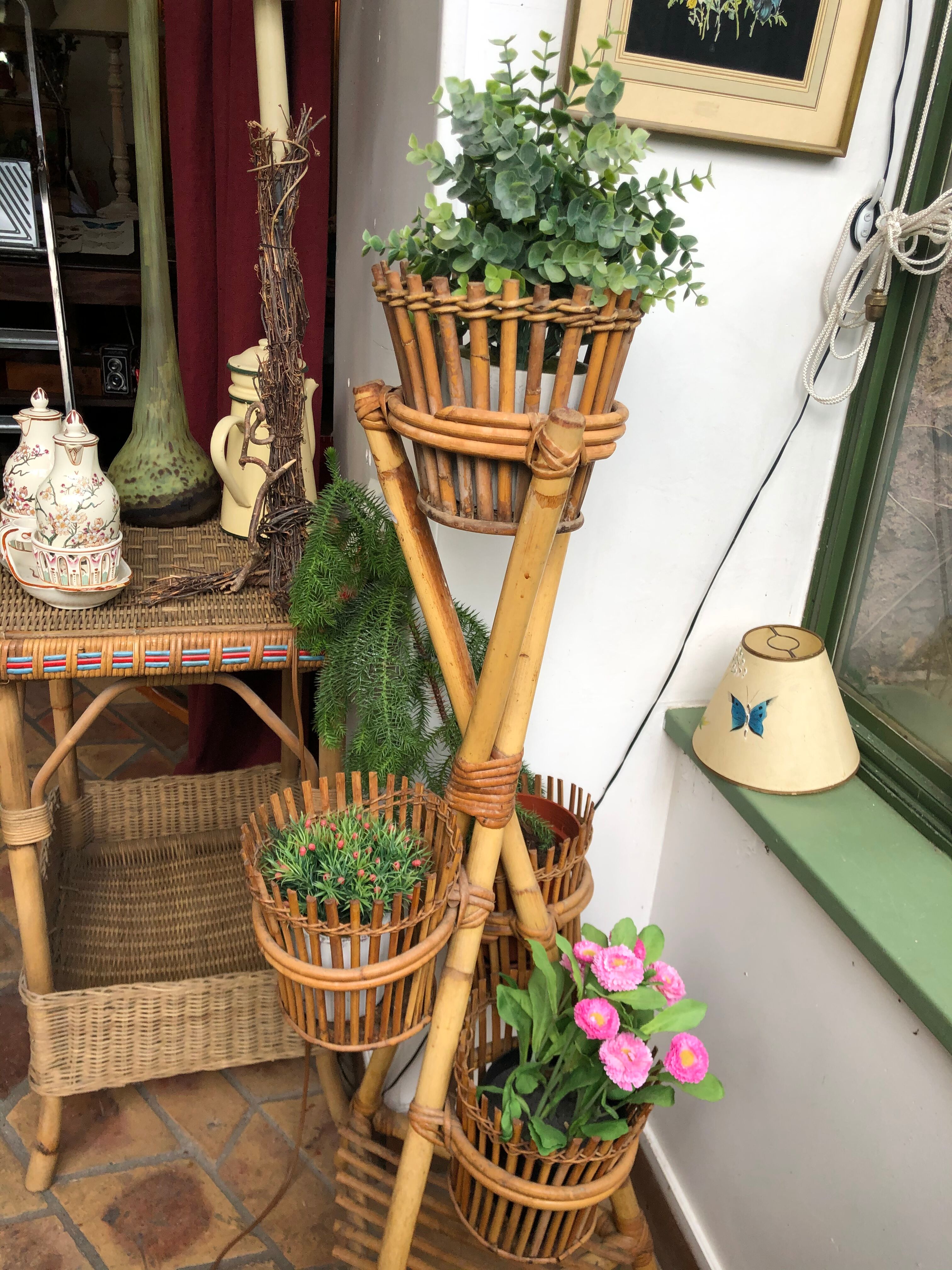 Rattan plant holder
