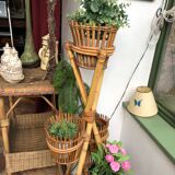 Rattan plant holder