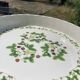 Flan mould Susan Williams-Ellis botanical patterns