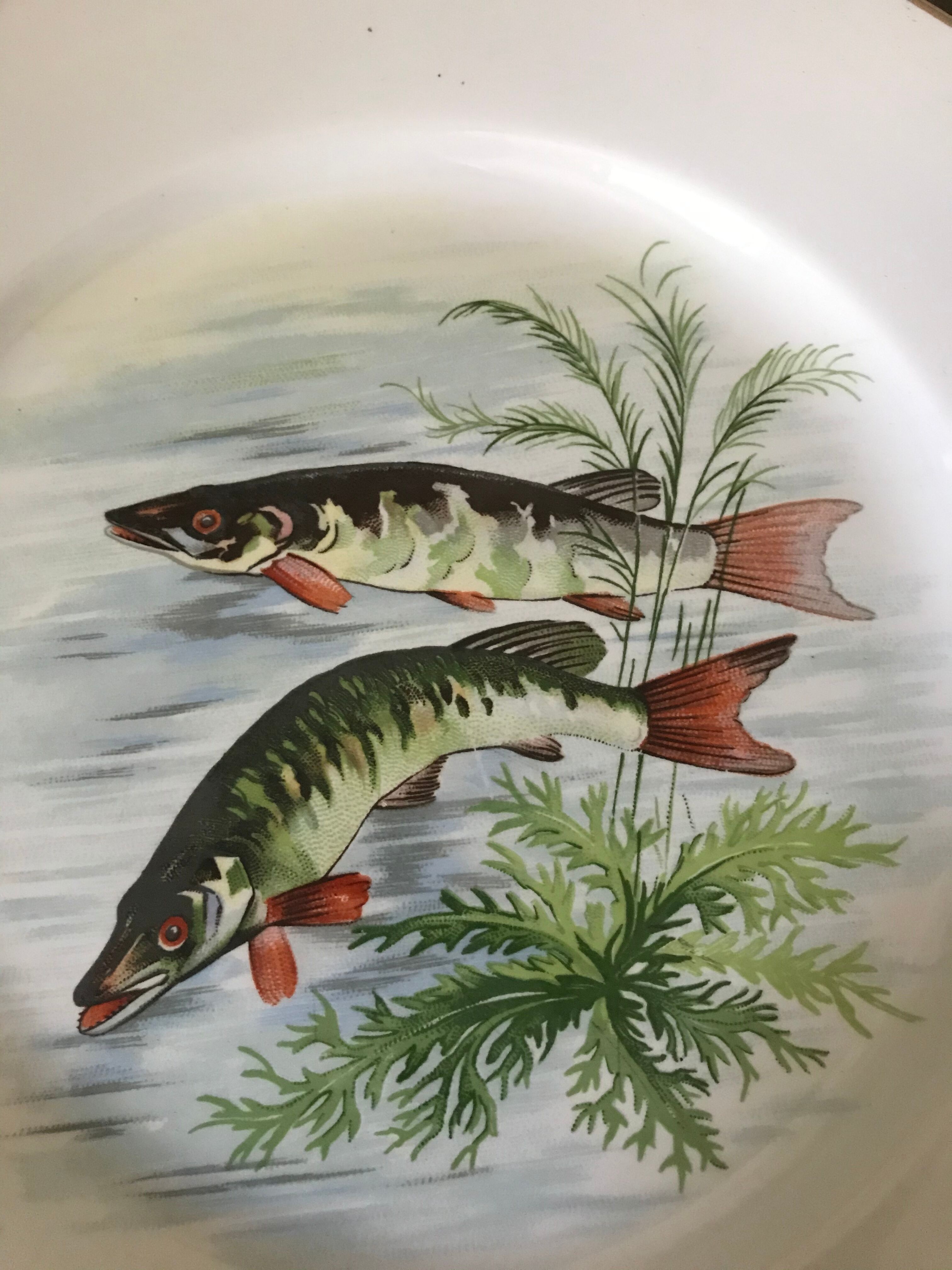 12 Digoin plates - Sarreguemines