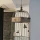 Metal cage